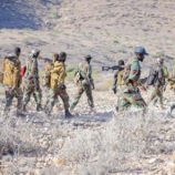 مقتل 10 عناصر من تنظيم داعش في الصومال