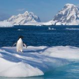 ظاهرة غريبة في أنتاركتيكا تحير العلماء!