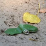 ليتوانيا تنسحب من اتفاقية حظر الألغام المضادة للأفراد