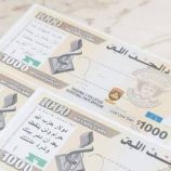 مسيرة إسرائيلية تلقي مناشير على شكل أوراق نقدية تحذر فيها من “الدولار الأصفر” (صور)