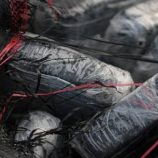 ضبط أكثر من طن من الكوكايين قبالة سواحل أستراليا