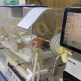 أحدهم فارق الحياة.. ولادة ستة توائم في سوريا