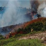 تدمير الغابات الاستوائية يبلغ مستويات قياسية تحت تأثير الحرائق