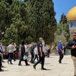 إصابة فلسطينيين جراء هجومين للمستوطنين في رام الله وبيت لحم