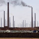 شركة صينية عملاقة تجعل مصر مركزا ثانيا لتصنيع هواتفها