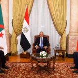 مصر وتونس والجزائر تدعو لوقف التصعيد في ليبيا فوراً