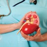 9 عادات يومية شائعة تضر بصحة الكلى