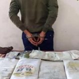 دفاع شبوة تحبط تهريب شحنة مخدرات كانت في طريقها إلى عدن