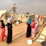 الهجرة الدولية : نزوح أكثر من 6.5 ألف شخص داخلياً منذ مطلع العام