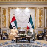 أمير الكويت ومنصور بن زايد يبحثان تعزيز التعاون المشترك بين البلدين