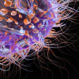 بعد اكتشاف “المستحيل”.. الاقتراب من إيجاد علاج نهائي لفيروس نقص المناعة البشرية