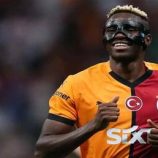 محاولات جديدة وعرض خرافي.. الهلال السعودي يواصل إغراء أوسيمين