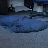 “إجهاد يوم الاثنين”.. تأثيره يطال حتى المتقاعدين