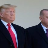 الرئاسة التركية: أردوغان وترامب أكدا أهمية تعزيز قوة الردع لدى حلف الناتو