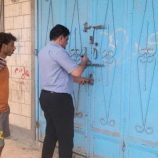 استمرار حملة ضبط المحلات المخالفة في المنصورة