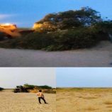 تنفيذ إزالة العشوائيات بالكامل في أرض مشروع الطاقة الشمسية بمديرية البريقة