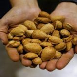 فوائد مذهلة للوز: من القلب إلى العظام