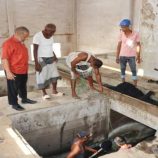 تواصل أعمال الصيانة لمحطة معالجة مياه الصرف الصحي في الشعب – المنصورة