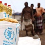 الغذاء العالمي يعلن وقف أنشطته في مناطق الحوثيين