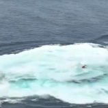 صور أقمار صناعية تكشف عن تلوث نفطي جنوب البحر الأحمر ينذر بكارثة بيئية