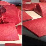 أسعار الأسماك اليوم الأربعاء فى عدن 9 يوليو