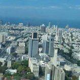 “غزو  ذباب مصري لإسرائيل”.. مخاوف في تل أبيب من ظاهرة واسعة النطاق تحدث لأول مرة