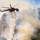 أجهزة الطوارئ تكافح حريقين يجتاحان غابات في شرق ألمانيا