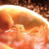 متى ينشأ الشعور بالألم لدى الإنسان؟.. دراسة تحسم الجدل