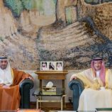 نائب وزير الخارجية السعودي يستقبل سفير الإمارات لدى المملكة في الرياض