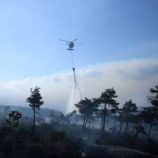 سوريا.. انطلاق طائرات إطفاء أوروبية من قبرص لإخماد حرائق غابات اللاذقية