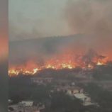 الحرائق تواصل التهام مساحات واسعة في غرب سوريا