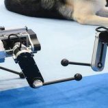 روسيا.. ابتكار نظام تشغيل للروبوتات يمنحها التواصل بلغة البشر