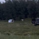 القضاء على عميل أوكراني كان يخطط لهجوم إرهابي في تيومين الروسية (فيديو)