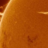 علماء الفلك يرصدون “وحشا عملاقا” فوق الشمس!