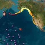 أمواج تسونامي تصل إلى هاواي