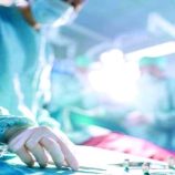 طبيب كوبي يترك مهنته ليربي الذباب ويجني الأرباح