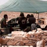 مستوطنون يعتدون على راعٍ فلسطيني ويسرقون 300 رأس غنم شرق رام الله