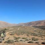 توغل إسرائيلي شمالي محافظة القنيطرة جنوب غربي سوريا