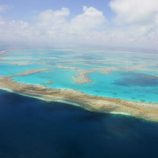 العلماء يدقون ناقوس الخطر بشأن الحاجز المرجاني العظيم