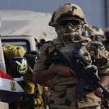 “هل ينتشر الجيش المصري في غزة؟”.. خبير يتحدث لـRT عن أهمية اتفاق وقف إطلاق النار