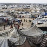 إسرائيل تستعد لترحيل الفلسطينيين إلى جنوب غزة تحت ضغط الاحتجاجات ضد الحرب