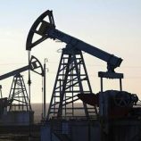 وزير الخارجية الهندي: الولايات المتحدة لم تطلب قط وقف شراء النفط من روسيا