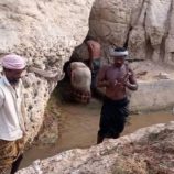 انتقالي المسيلة ينفذ حملة نظافة لمعيان بمنطقة بزون