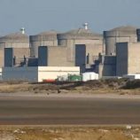 قناديل البحر تغلق محطة طاقة نووية فرنسية