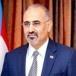 من نيويورك: الرئيس الزبيدي يؤكد على حق شعب الجنوب في الاستقلال – (تقرير خاص للصوت الجنوبي)