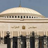 برلمانية مصرية تكشف تفاصيل مشروع خطير عارضته يخص صحة المواطنين