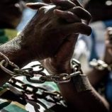 “كاتو” وقصة ثورة “عنيفة” استمرت يوما واحدا!