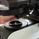 من السرطان إلى السكري.. العلماء الروس يفتحون خريطة الجينات نحو تشخيص مبكر وعلاج ثوري للأمراض