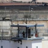 الاحتلال الإسرائيلي ينشر وباء الجرب في السجون ويمنع الأسرى الفلسطنيين من العلاج والغذاء