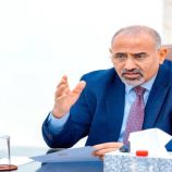 الرئيس الزبيدي وتعزيز الاقتصاد الجنوبي.. ما بين التحديات والنجاح